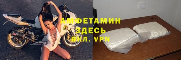 прущие грибы Абинск