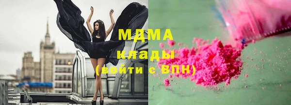 прущие грибы Абинск