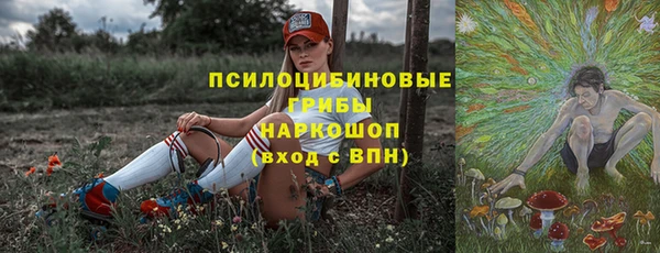 прущие грибы Абинск