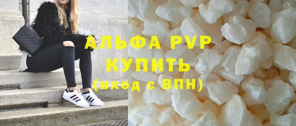 прущие грибы Абинск